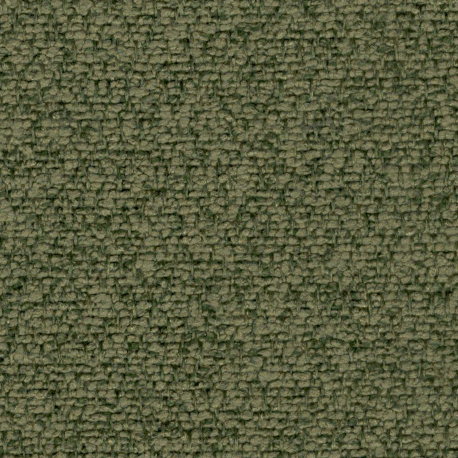 Millie (Mini Boucle)
