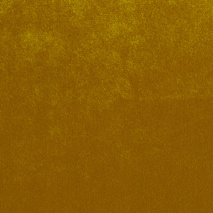 Legacy Natural & Legacy Bright