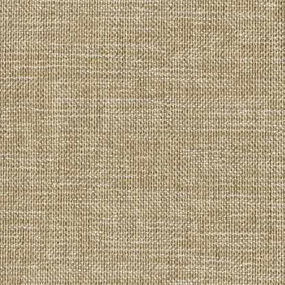 Nexstar (Canvas Fabrics)