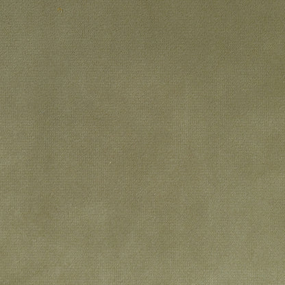 Legacy Natural & Legacy Bright