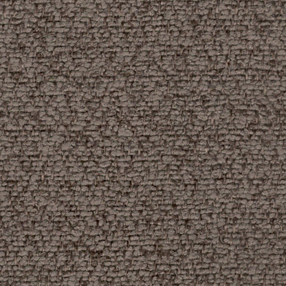 Millie (Mini Boucle)
