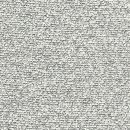 Millie (Mini Boucle)