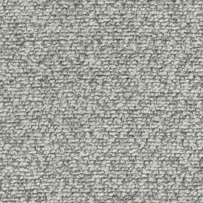 Millie (Mini Boucle)