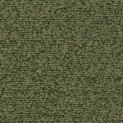 Millie (Mini Boucle)