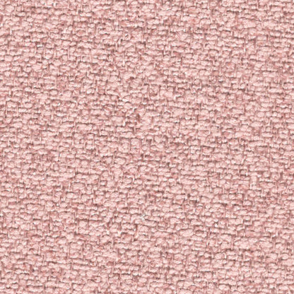 Millie (Mini Boucle)